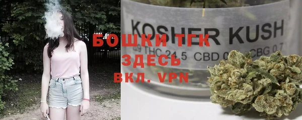 сатива Краснотурьинск
